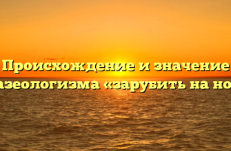 Происхождение и значение фразеологизма «зарубить на носу»