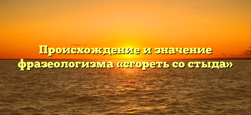 Происхождение и значение фразеологизма «сгореть со стыда»