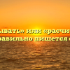 «Рассчитывать» или «расчитывать» — как правильно пишется слово?