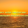 «Сапог» или «сапогов» — как правильно пишется слово?