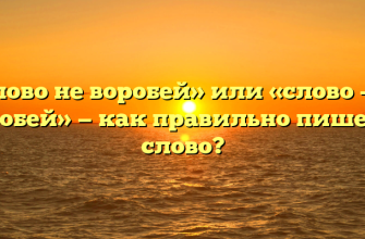 «Слово не воробей» или «слово – не воробей» — как правильно пишется слово?