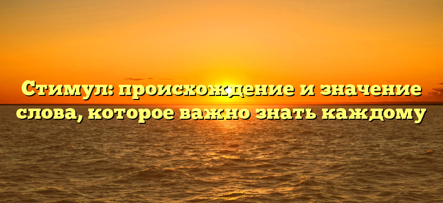 Стимул: происхождение и значение слова, которое важно знать каждому
