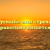 «Трехъярусный» или «трехярусный» — как правильно пишется слово?