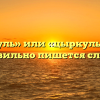 «Циркуль» или «цыркуль» — как правильно пишется слово?