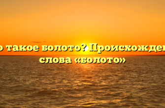 Что такое болото? Происхождение слова «болото»