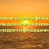 Что такое идентификация? Происхождение и значение слова «идентификация»