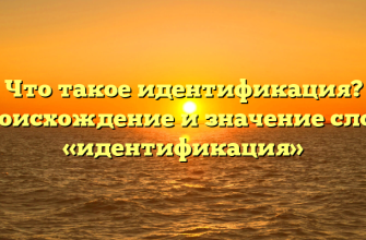 Что такое идентификация? Происхождение и значение слова «идентификация»