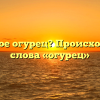 Что такое огурец? Происхождение слова «огурец»