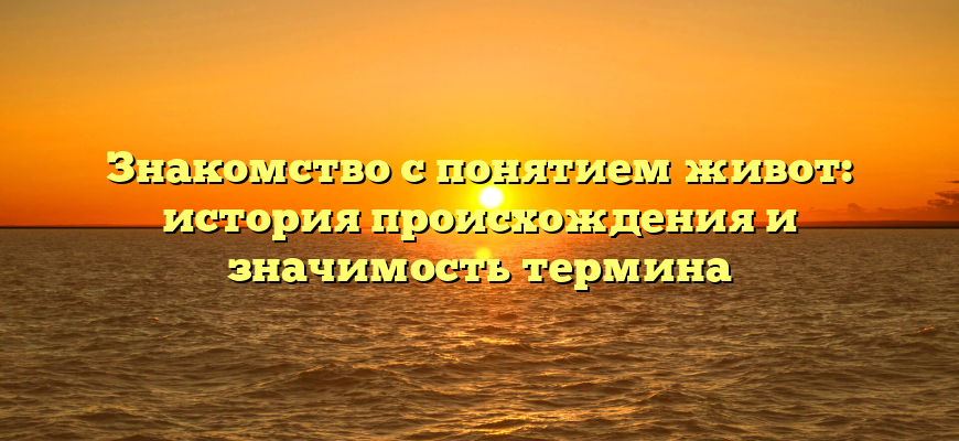 Знакомство с понятием живот: история происхождения и значимость термина