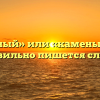 «Каменный» или «каменый» — как правильно пишется слово?