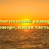 Морфологический разбор слова «мухомор», какая часть речи
