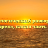 Морфологический разбор слова «обозрел», какая часть речи