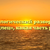 Морфологический разбор слова «подлец», какая часть речи
