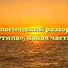 Морфологический разбор слова «пошутила», какая часть речи