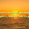 Морфологический разбор слова «сберёг», какая часть речи
