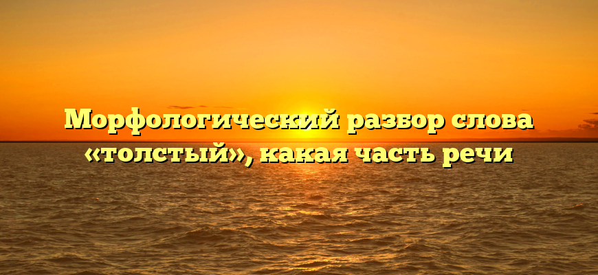 Морфологический разбор слова «толстый», какая часть речи