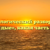 Морфологический разбор слова «чуждые», какая часть речи