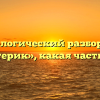 Морфологический разбор слова «шестерик», какая часть речи