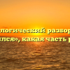 Морфологический разбор слова «явился», какая часть речи