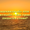 «Неадекватный» или «не адекватный» — как правильно пишется слово?