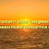 «Невропатолог» или «нервопатолог» — как правильно пишется слово?