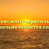 «Обратится» или «обратиться» — как правильно пишется слово?