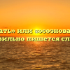 «Осознавать» или «осозновать» — как правильно пишется слово?
