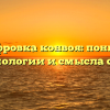Расшифровка конвоя: понимание этимологии и смысла слова