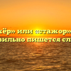 «Стажёр» или «стажор» — как правильно пишется слово?