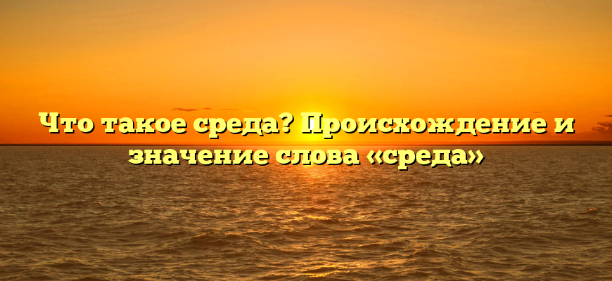 Что такое среда? Происхождение и значение слова «среда»