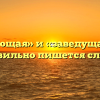 «Заведующая» и «заведущая» — как правильно пишется слово?