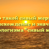 Кто такой сивый мерин? Происхождение и значение фразеологизма “сивый мерин”