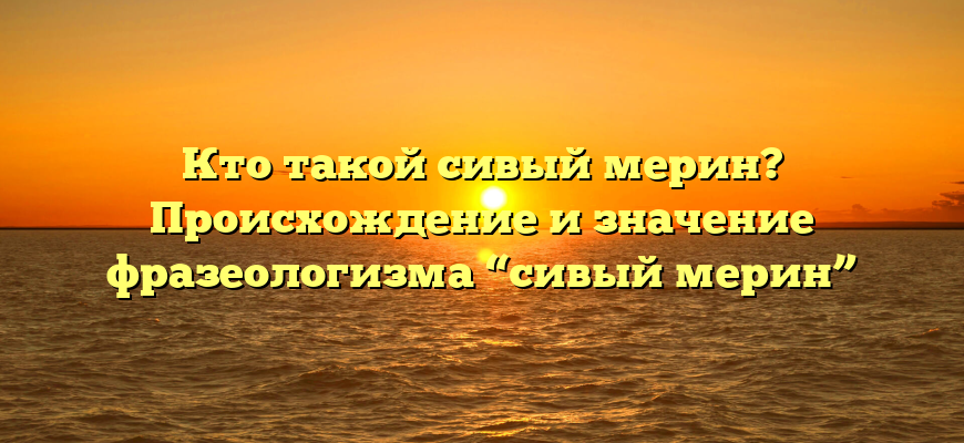 Кто такой сивый мерин? Происхождение и значение фразеологизма “сивый мерин”