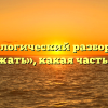 Морфологический разбор слова «держать», какая часть речи