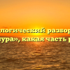 Морфологический разбор слова «конура», какая часть речи