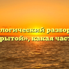Морфологический разбор слова «непокрытой», какая часть речи