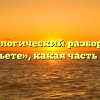 Морфологический разбор слова «попьете», какая часть речи