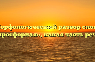Морфологический разбор слова «просфорная», какая часть речи