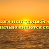 «Поджог» или «поджёг» — как правильно пишется слово?