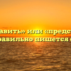 «Предоставить» или «представить» — как правильно пишется слово?