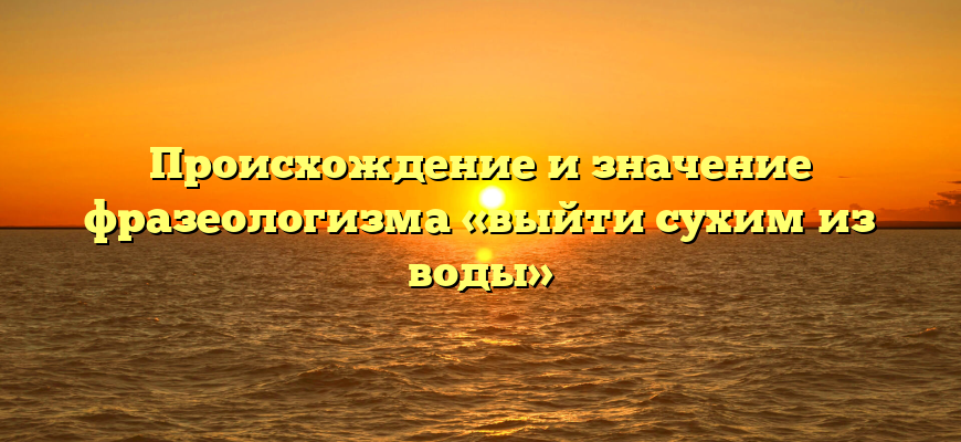 Происхождение и значение фразеологизма «выйти сухим из воды»