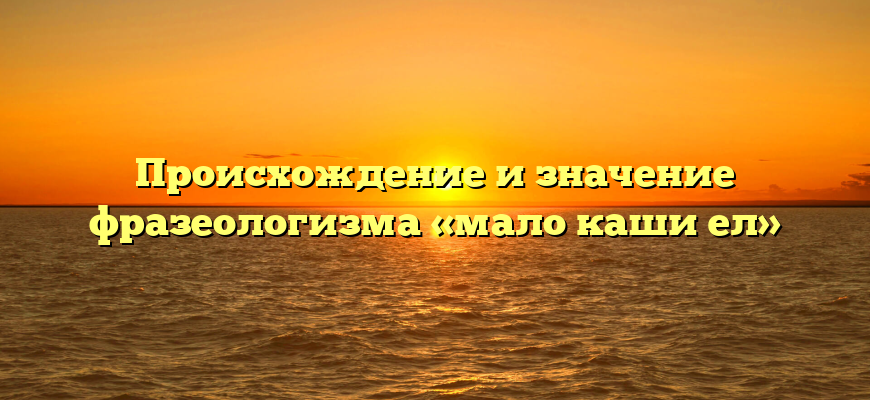 Происхождение и значение фразеологизма «мало каши ел»