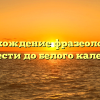 Происхождение фразеологизма «довести до белого каления»