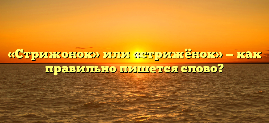 «Стрижонок» или «стрижёнок» — как правильно пишется слово?