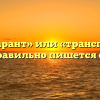 «Транспарант» или «транспорант» — как правильно пишется слово?