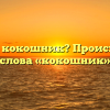 Что такое кокошник? Происхождение слова «кокошник»