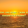 «Вовсе» или «во все» — как правильно пишется слово?