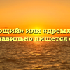 «Дремлющий» или «дремлящий» — как правильно пишется слово?