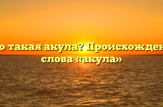 Кто такая акула? Происхождение слова «акула»