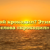 Кто такой крокодил? Этимология слова «крокодил»